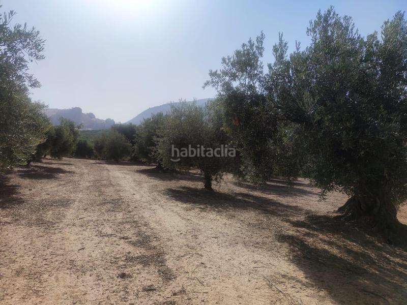 Foto 6ca53128-376d-4f15-8711-457dcd78c429. Fondo rustico in Cogollos de la Vega