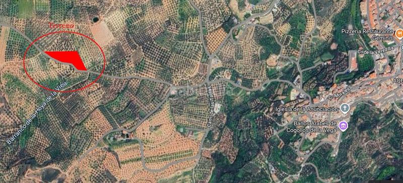 Foto 964ca9e5-1fe4-4f3e-b437-2e55d74d77da. Fondo rustico in Cogollos de la Vega