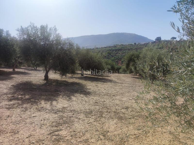 Foto bd5b340d-5392-4dd7-811b-79d46ecc7a07. Fondo rustico in Cogollos de la Vega