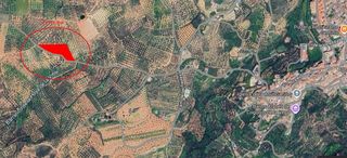 Finca rústica en Cogollos de la Vega. Terreno con olivos en cogollos vega!!