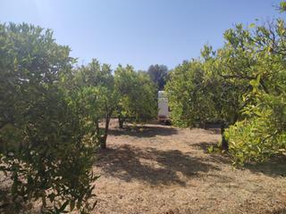 Finca rústica a Lecrín. Terreno agrícola en lecrin!!