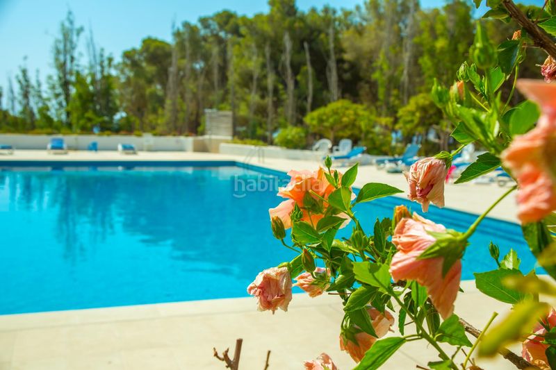 Foto b45f2644-2a25-41f9-a663-22ca68351d82. Pis amb calefacció aparcament piscina a Santa Maria de Llorell Tossa de Mar