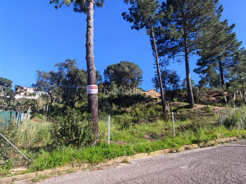 Foto 2543c6f6-ce23-402a-9e20-7e5b29a997fa. Wohngrundstück in Lloret Residencial - Montlloret Lloret de Mar