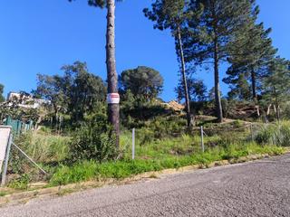 Terreny residencial  Infants