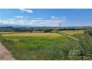 Finca rústica  Galim. Terrenos con pozo de agua, dos contadores agua potable y transfo
