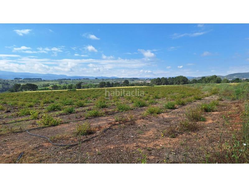 Foto 344aae3d-1104-4744-8609-c4ef605e3c36. Propriété dans Olleria (l´)