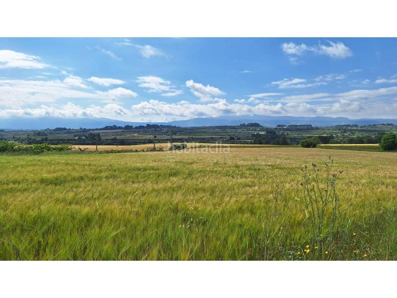 Foto 3e6ee628-1912-4be9-8a38-d252cb0825f3. Propriété dans Olleria (l´)