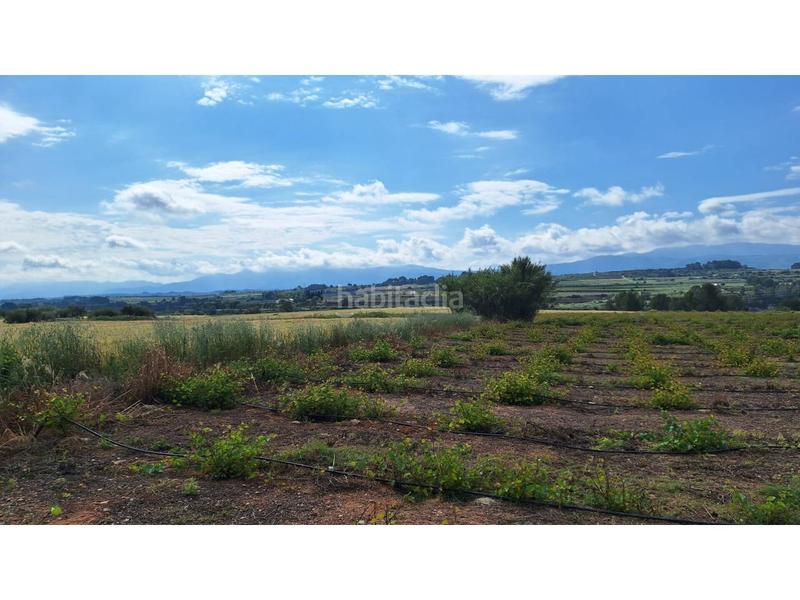 Foto 5735a1c4-5f2c-49fb-bb54-13b98f06d290. Propriété dans Olleria (l´)