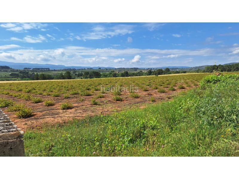 Foto 595bc87e-a54c-4c69-b1d3-6c2b2510f711. Propriété dans Olleria (l´)