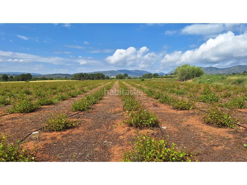 Foto c148bf73-83c2-48d5-9147-f2e4a8b247c4. Propriété dans Olleria (l´)