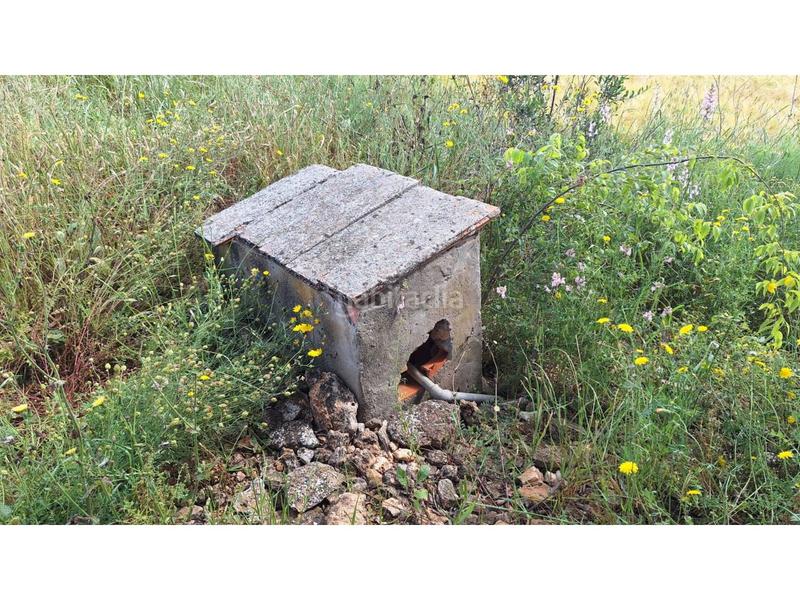 Foto fca50a2b-0dd5-4abd-a8c1-69c24525e05d. Propriété dans Olleria (l´)