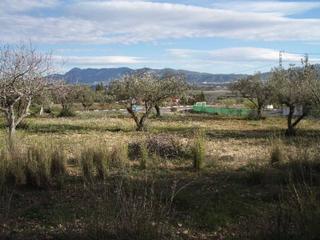 Terreny residencial  Ptd. el rodat. Terrenos de 2 mano en venta