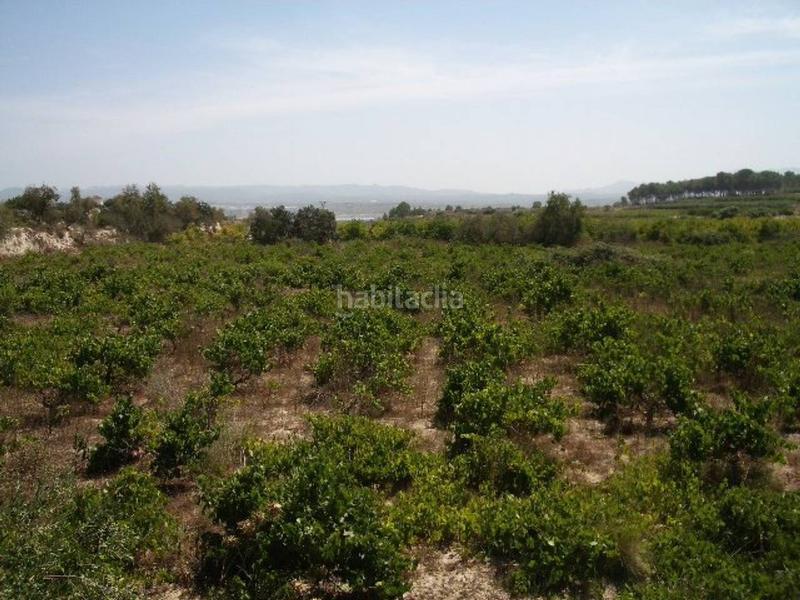 Foto 8678f6a2-120a-4199-9b9b-30d192940ba9. Terreno residencial terreno en venta en lolleria en Olleria (l´)