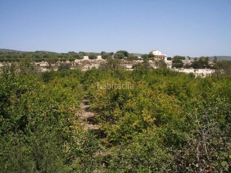 Foto af822e5b-5bbc-480c-bccf-30ff03f1d7c6. Terreno residencial terreno en venta en lolleria en Olleria (l´)