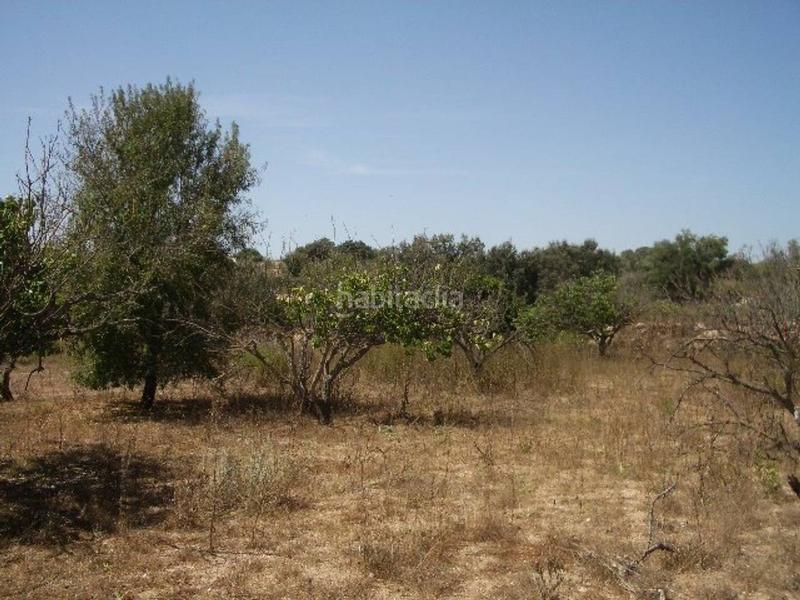 Foto c505d51b-ac5d-460b-b979-42013f3a5d89. Terreno residencial terreno en venta en lolleria en Olleria (l´)
