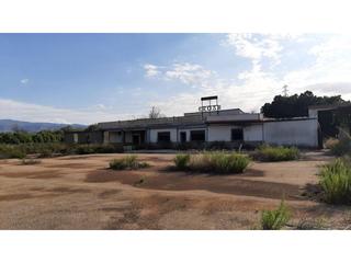 Xalet  El rabios. Chalet con parcela de 11000 metros