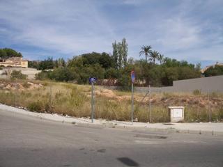 Solar industrial  Fila cordon. Solar industrial, en breve residencial