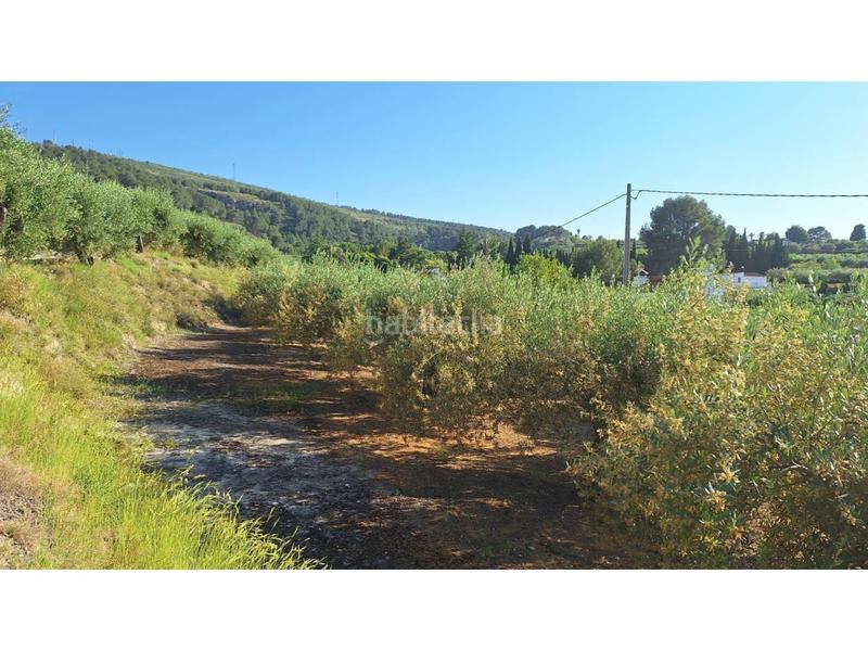 Foto 5994c7f0-f40a-4a6d-90ce-4a0ad64ee932. Rural plot in Sant Josep-Zona Hospital Ontinyent