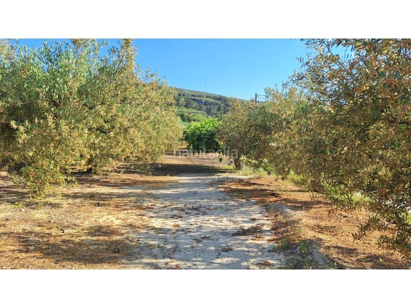 Foto 6b1903f5-1bb4-4fb4-a176-6646410b74ab. Rural plot in Sant Josep-Zona Hospital Ontinyent