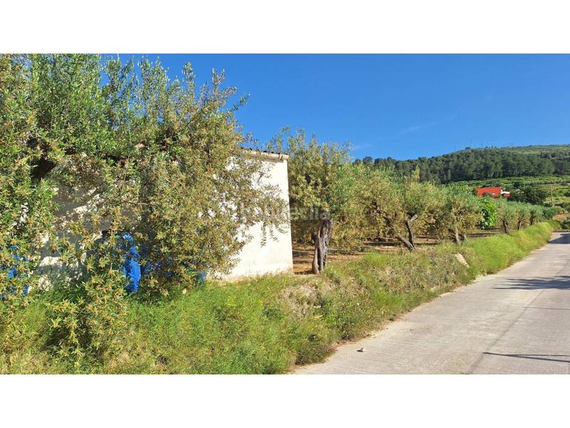 Foto 7a448b1d-ce68-4d0e-bc71-02261fea57a5. Rural plot in Sant Josep-Zona Hospital Ontinyent