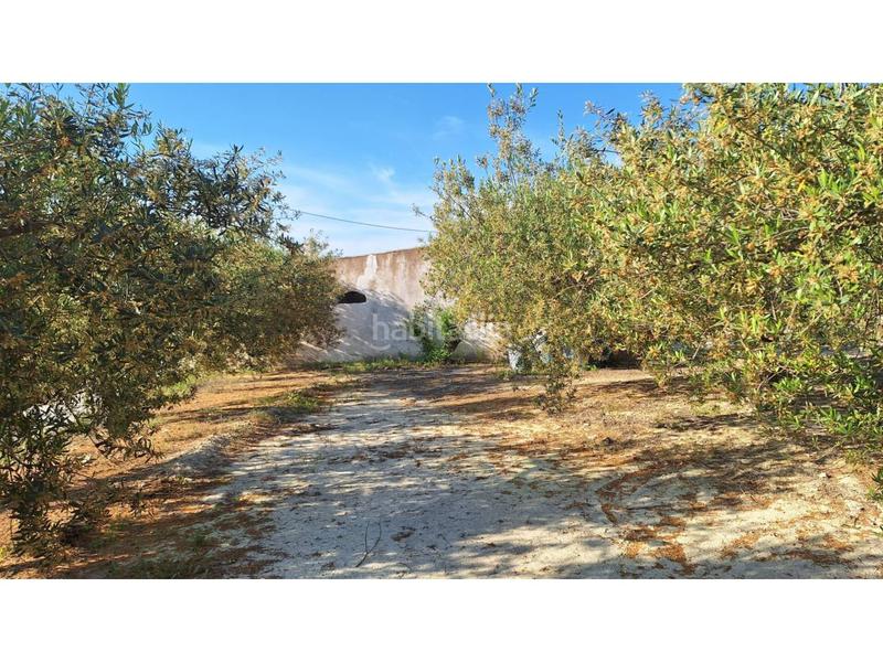 Foto e287b082-90b6-46eb-8a71-d20f80012af8. Rural plot in Sant Josep-Zona Hospital Ontinyent