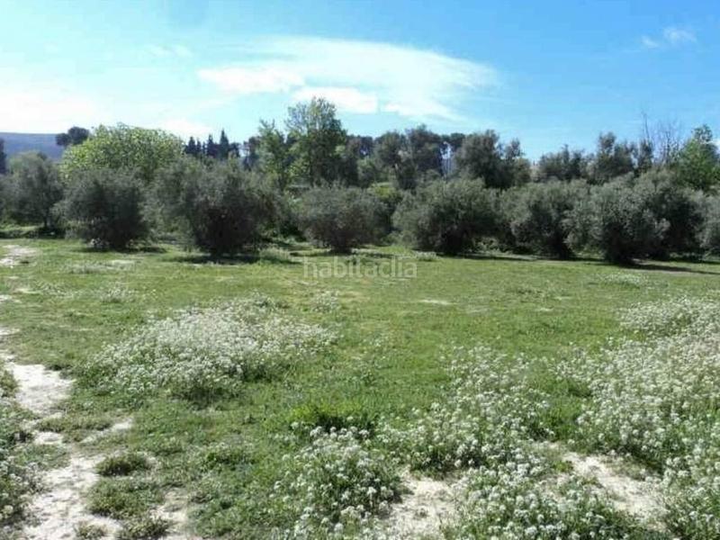 Foto 794be081-2ae8-4f37-ad81-ce9c22b3e5e2. Terreno residenziale in Centro Ontinyent