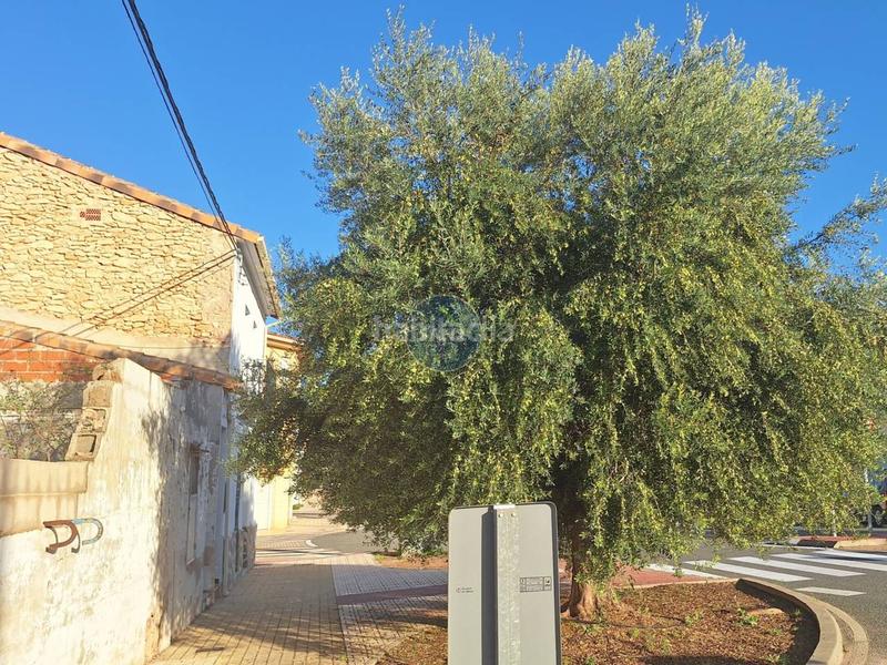 Foto bca6f331-3395-492f-8350-c85bcc40e218. Wohngrundstück in Aielo de Malferit