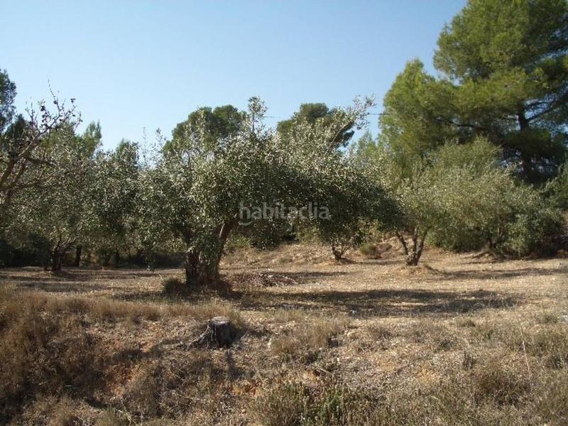 Foto 22da16a5-cb42-42ec-9cdc-1fbb33506150. Rural plot in Olleria (l´)