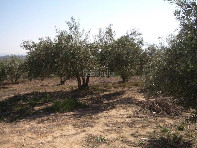 Foto 31daae41-7cfa-44e1-ac54-9dc7700cd45b. Rural plot in Olleria (l´)