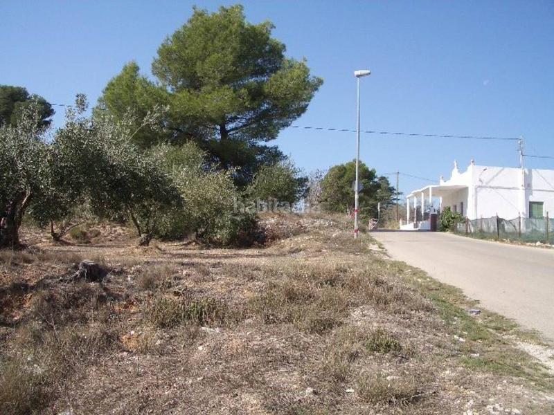 Foto 43275efc-aa4c-419b-881e-dfba12f13854. Rural plot in Olleria (l´)