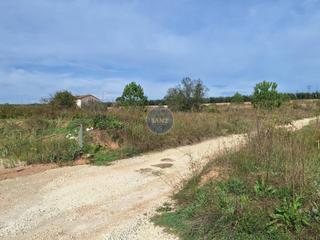 Finca rústica en Alfarrasí. Terrenos a la venta en alfarrasi