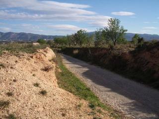 Terreno residencial  Ptd. galim. Terreno cultivable en lolleria