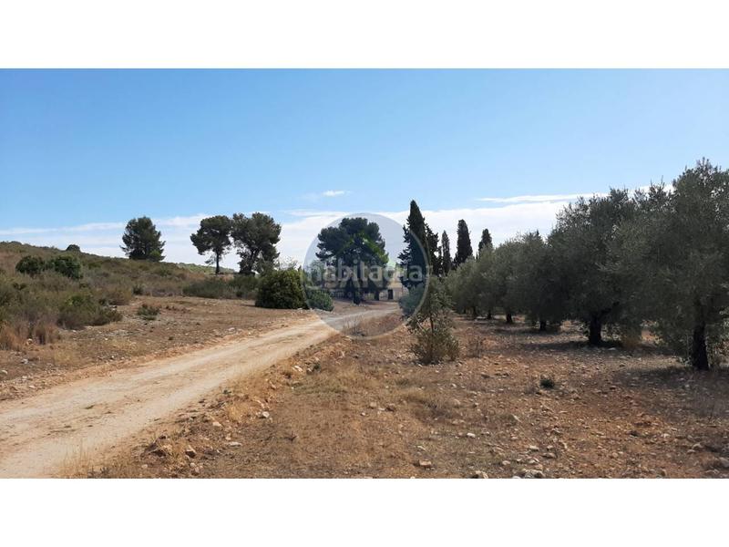 Foto 170457fb-be3e-4a2c-9a86-64f98820e291. Landgut in Centro Ontinyent