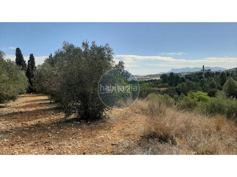 Foto 1809ed08-ac9f-49e1-82a9-63bccdd6ad06. Landgut in Centro Ontinyent