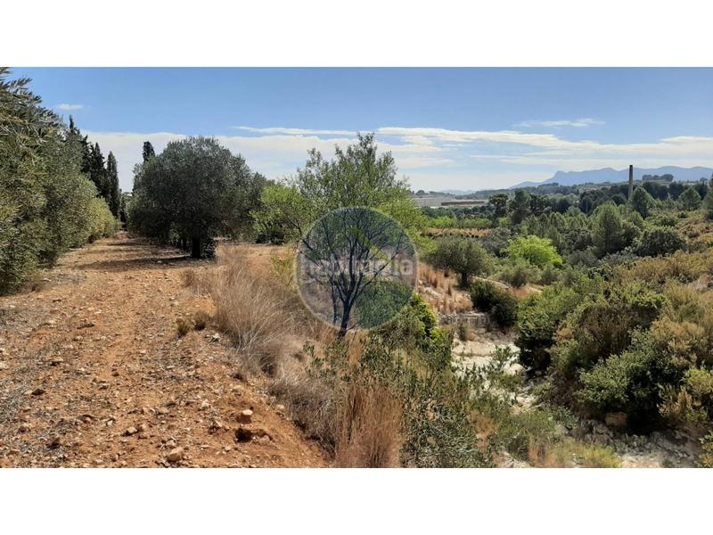 Foto 320671b9-9dd0-476b-996b-b315df547a40. Landgut in Centro Ontinyent