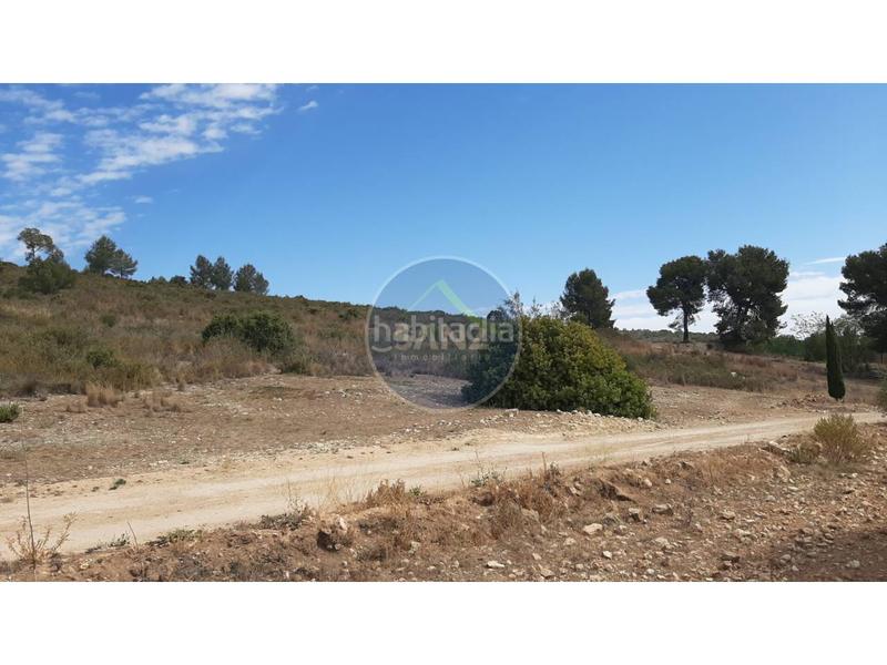 Foto 59369f2f-ab9c-43b9-99db-67e619928227. Landgut in Centro Ontinyent