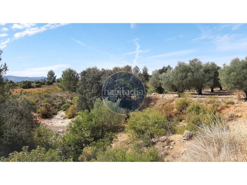 Foto 6b99f68b-0996-405a-bec0-43948aa7a285. Landgut in Centro Ontinyent