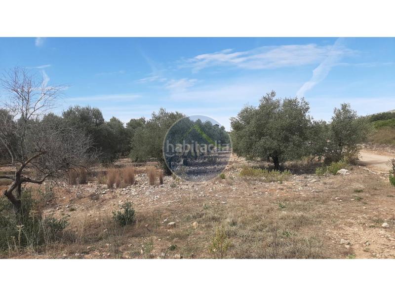 Foto 6fa6402f-ec03-481c-a672-6b3ae0306085. Landgut in Centro Ontinyent