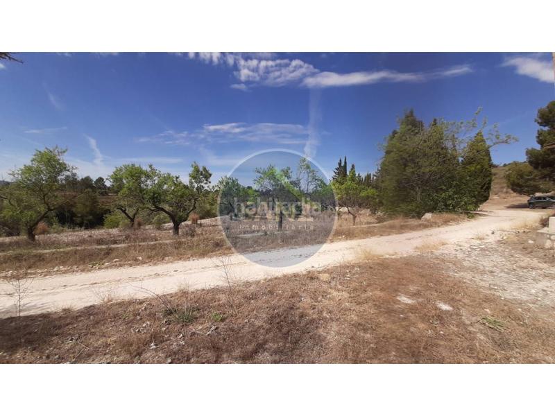 Foto 93bcbec3-8266-4a8d-94da-bb8e7aa54780. Landgut in Centro Ontinyent