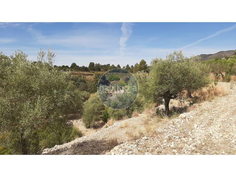 Foto a194edfd-bcd7-4829-93d2-e32388a2346a. Landgut in Centro Ontinyent