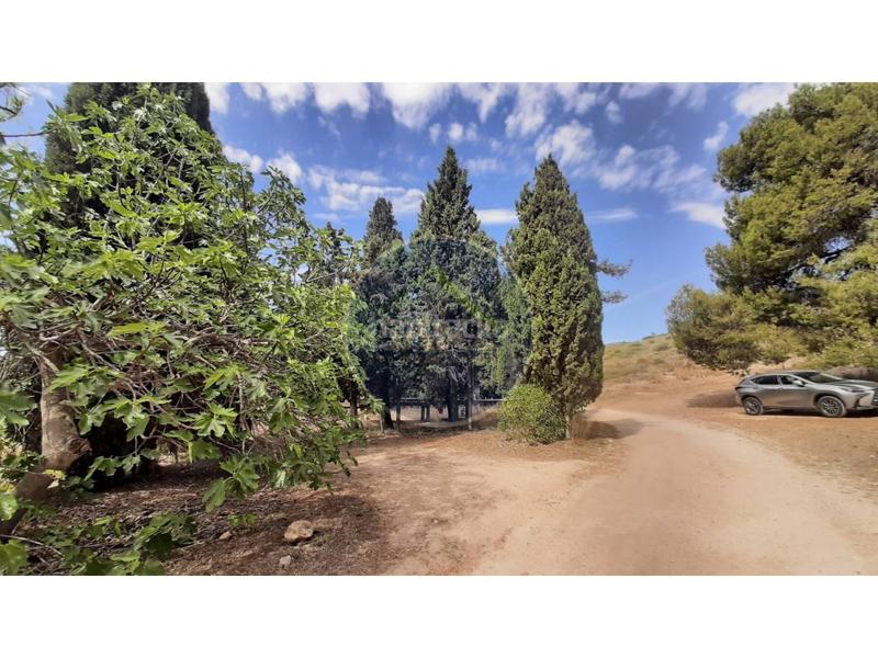 Foto b0d2bf8a-df5b-4ae4-94bf-1a9376bc34cc. Landgut in Centro Ontinyent