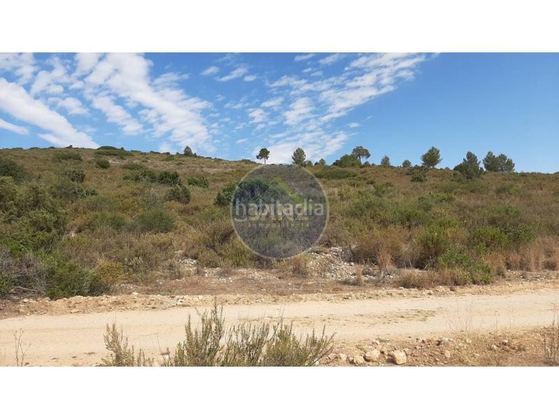 Foto bacf5d5e-b95c-4ca7-9ae0-32ad80082058. Landgut in Centro Ontinyent