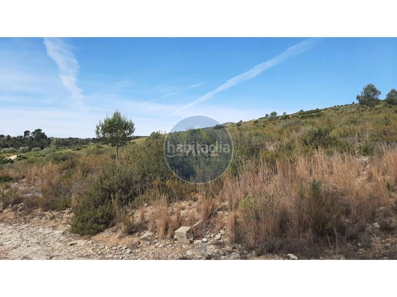 Foto ccfa9985-6daa-4737-a897-967a124f1fe4. Landgut in Centro Ontinyent