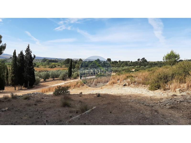 Foto e5b27909-54f2-46fa-a50b-885ba7a2c7bd. Landgut in Centro Ontinyent