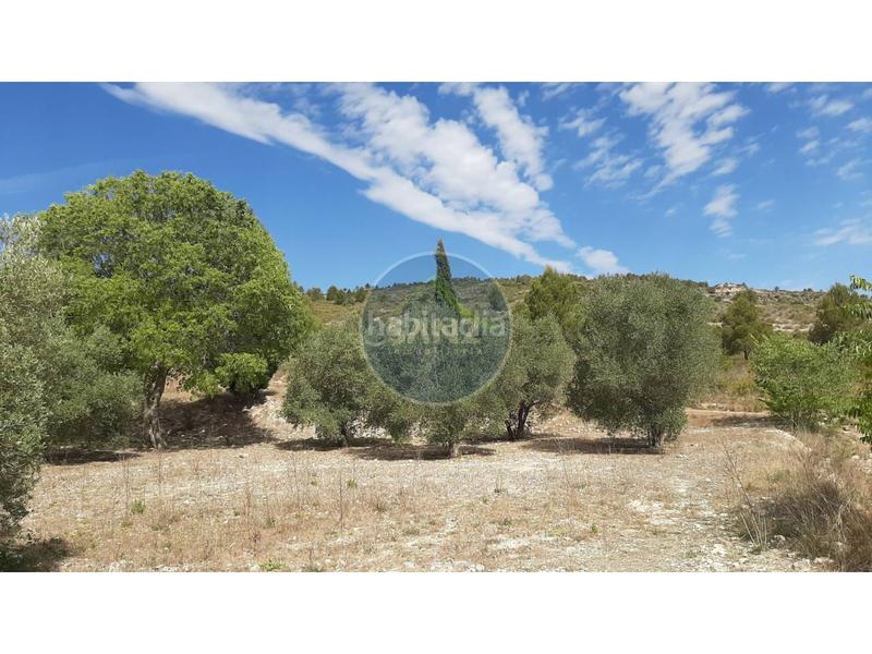 Foto e77a105a-8f5f-4c35-b76d-c6fc2a01c056. Landgut in Centro Ontinyent