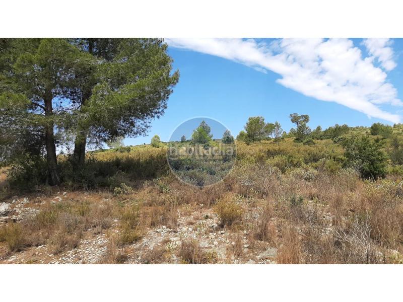 Foto eb6133cd-40ec-4088-8a44-dbfe895965b8. Landgut in Centro Ontinyent