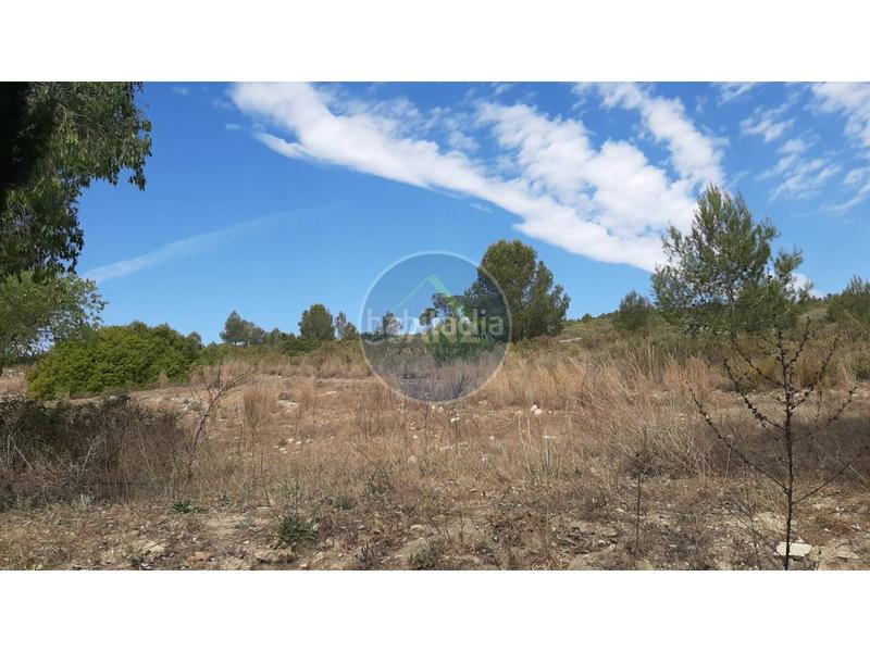 Foto eede9bf0-0e60-4c92-8919-4bf0ed57b019. Landgut in Centro Ontinyent