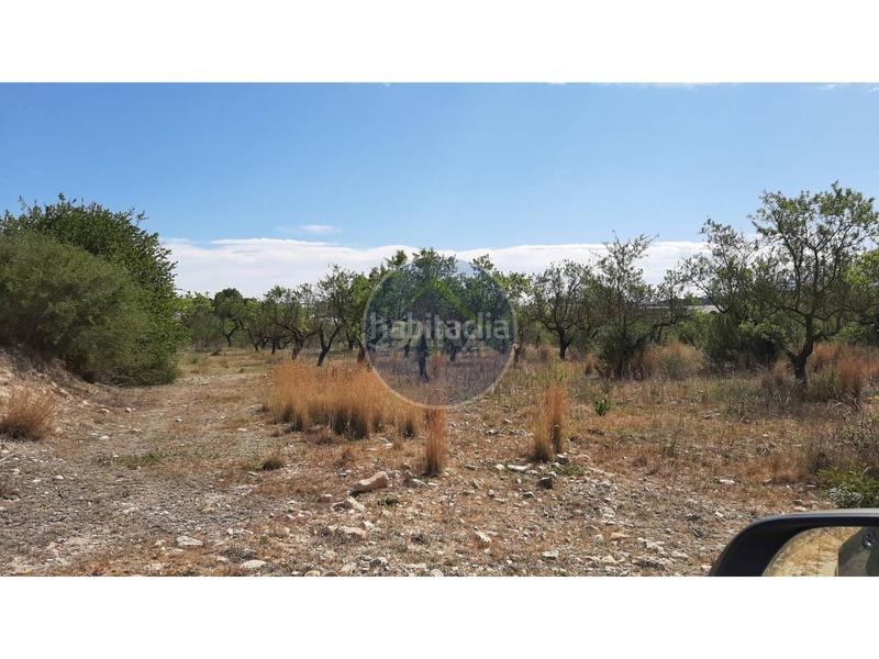 Foto f07992ae-5a5e-4f93-8214-ee794cda4442. Landgut in Centro Ontinyent