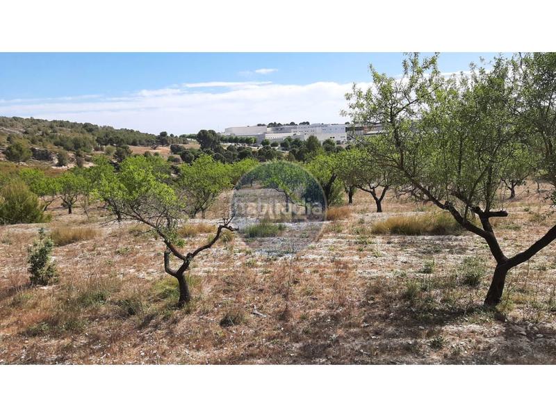 Foto f6bf4f25-b81f-456f-b7fe-6b44df9456d9. Landgut in Centro Ontinyent