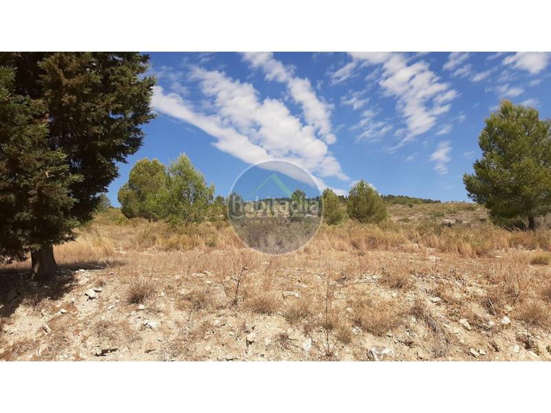 Foto fd8b6af6-761d-4e76-aa04-4bdf72a95b4b. Landgut in Centro Ontinyent